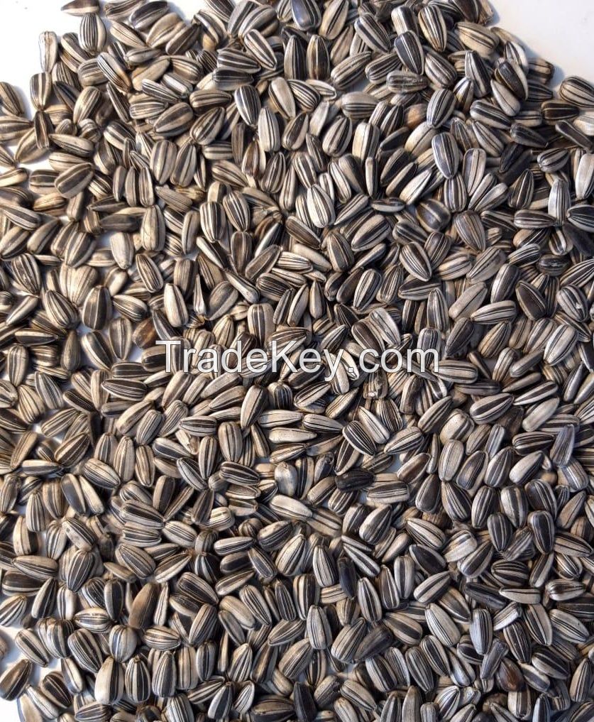 Sunflower Seeds