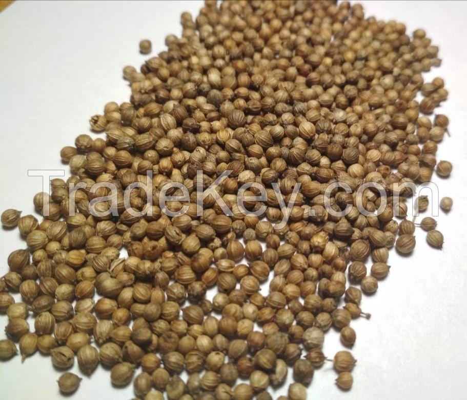 Coriander seeds