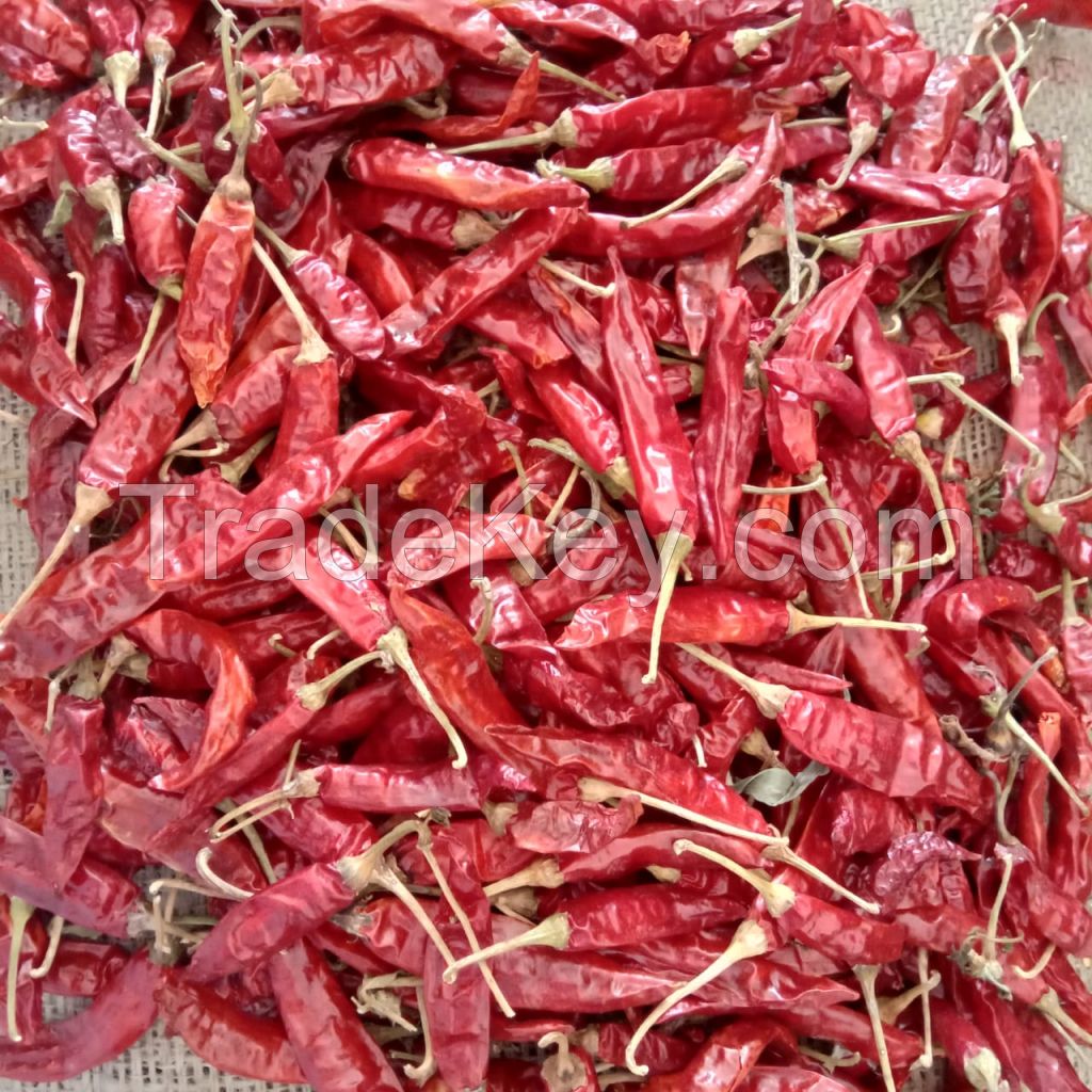 334 / S4 Sannam Dried Red Chilli