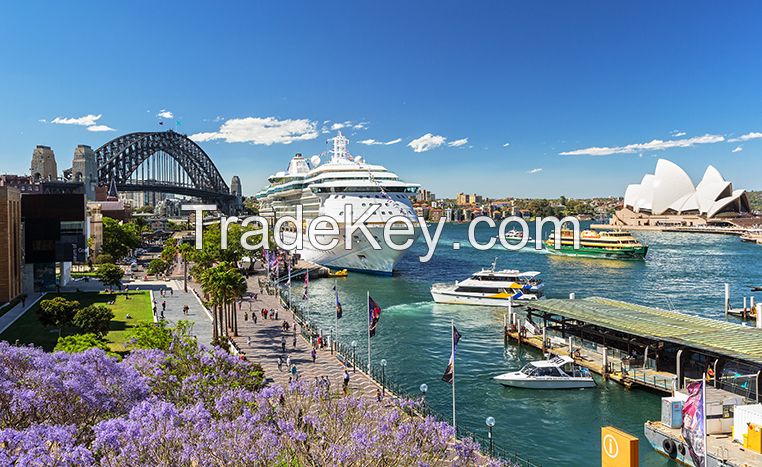 Jigsaw Puzzle 1000 Piece Preium Quality Australia Harbour View