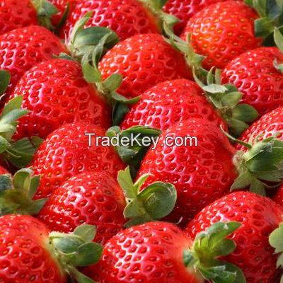 Fresh Strawberries 