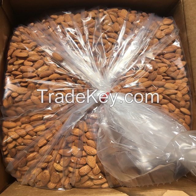 Organic Apricot Kernel Agriculture Nuts & Kernels Apricot Kernels 