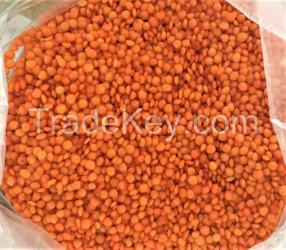 100% Mature Canadian Red Lentils / Green Lentils for sale