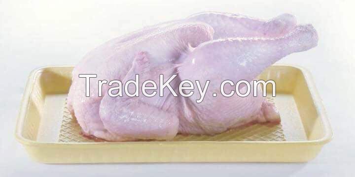 Frozen halal whole chicken