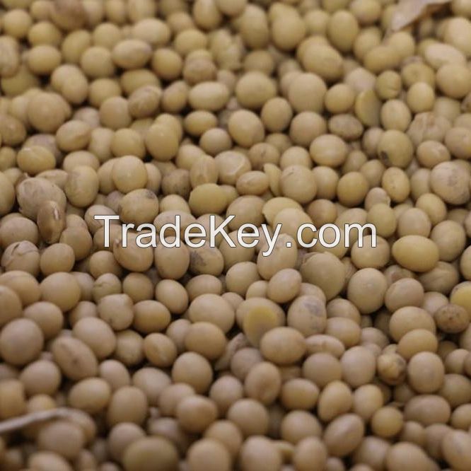 Soya beans 