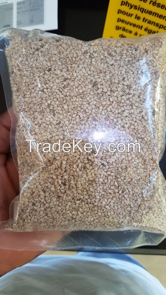 HIGH QUALITY BURKINA FASO NATURAL SESAME SEED 