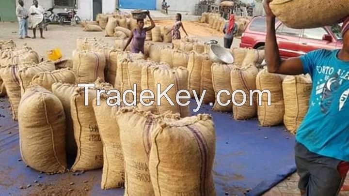 HIGH QUALITY BENIN  CASHEW NUT IN SHELL 