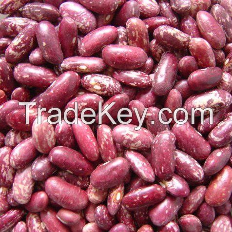 Light Speckles  Kidney Beans