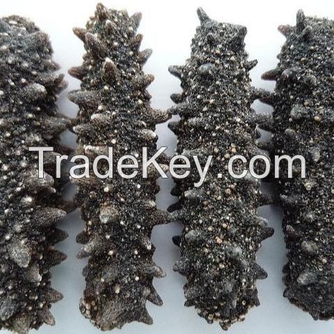 Dried Sea Cucumber Cheap High quality