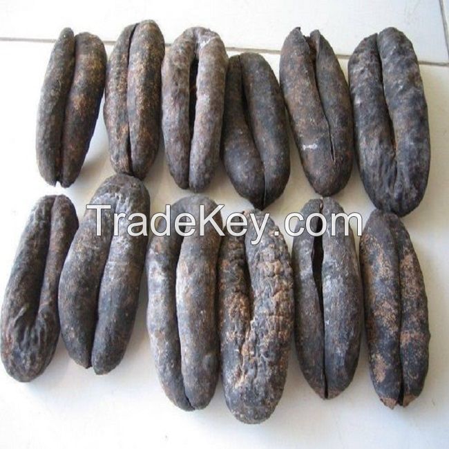 Dried Sea Cucumber Cheap High quality