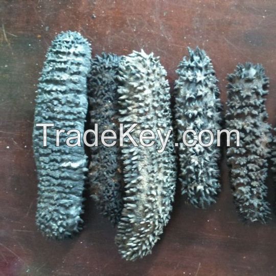 Dried Sea Cucumber Cheap High quality