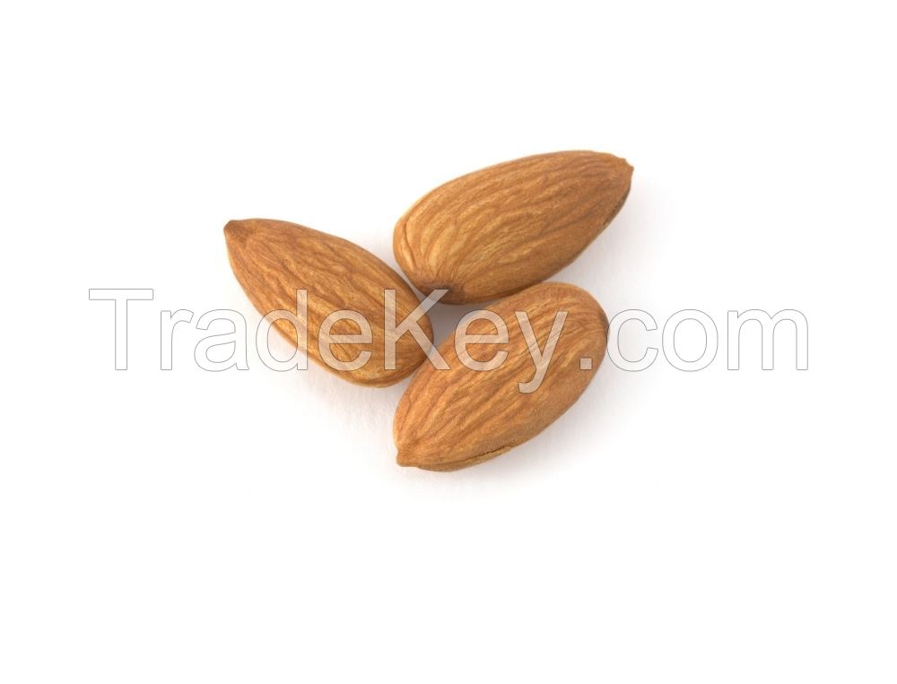 Bulk Almond nuts For Sale