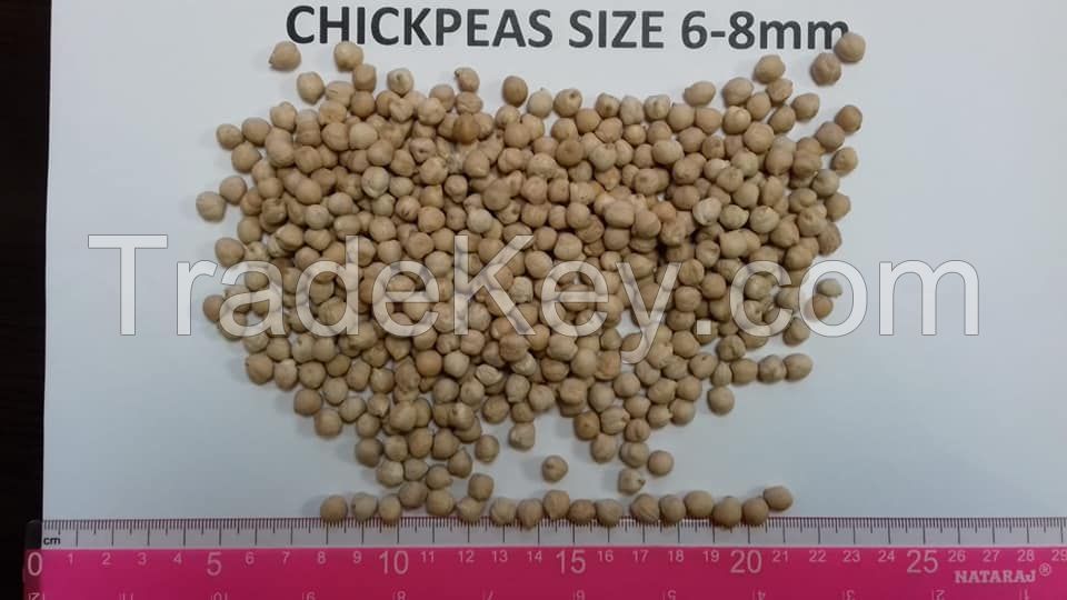 KABULI Dried Raw Organic 7mm 8mm 9mm chickpeas for sale