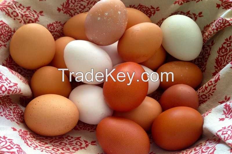 Good quality White &amp;amp; Brown Fresh Chicken Table Eggs