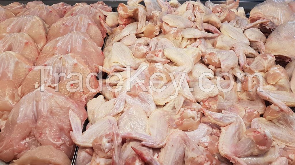 Halal Frozen Chicken Mid Joint Wings / 3 Joint Chicken Wings, Chicken Wing 2 Joint / Frozen Chicken Wing