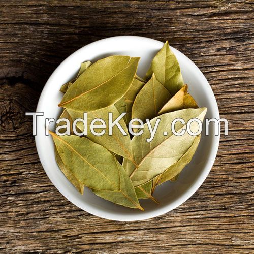 100% natural dried bay leaf 