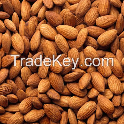 Almonds Straight from Spain 