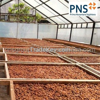 Forastero Cocoa Bean Products Premium Quality Green Dried Cacao Beans From North Sumatra Indonesia for Flavouring Foods Drinks