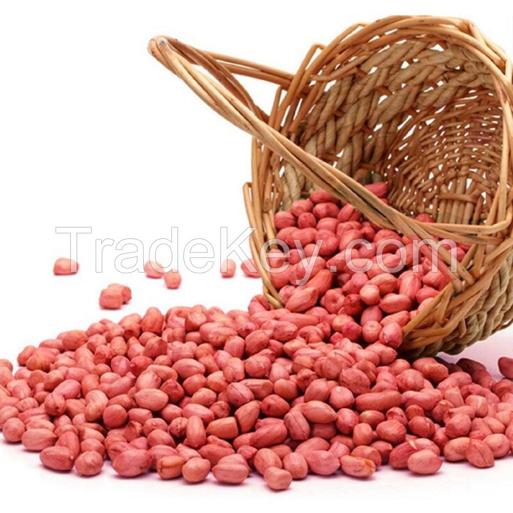 Wholesale Natural Organic Premium Grade Roasted Blanched Peanuts Bulk Peanut Blanched Split Laser Sorting Peanuts Nuts & Kernels