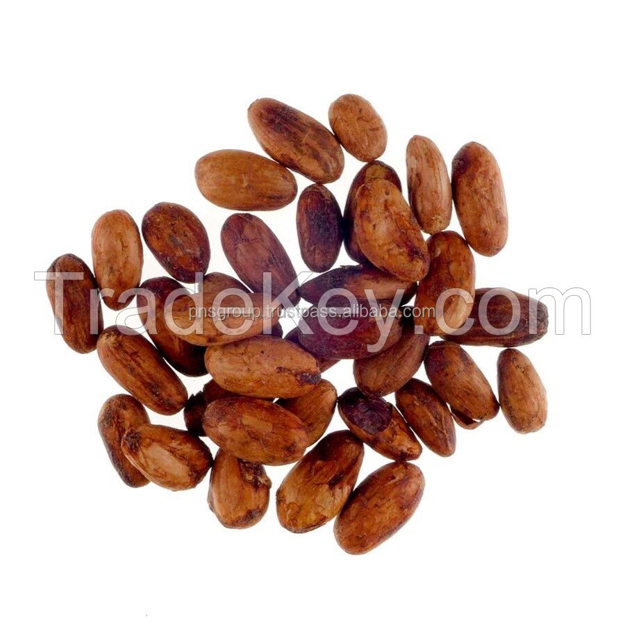 Forastero Roasted Cacao Beans Premium Processing Type Product