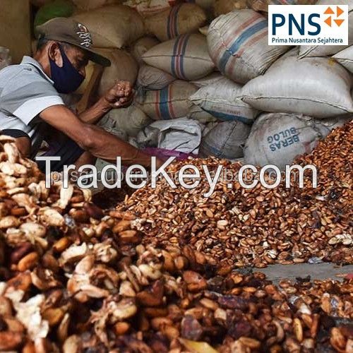 Forastero Cocoa Bean Products Premium Quality Green Dried Cacao Beans From North Sumatra Indonesia for Flavouring Foods Drinks