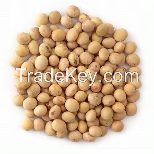 Organic GMO Yellow Soybean Dried in Bulk for Convenient Use