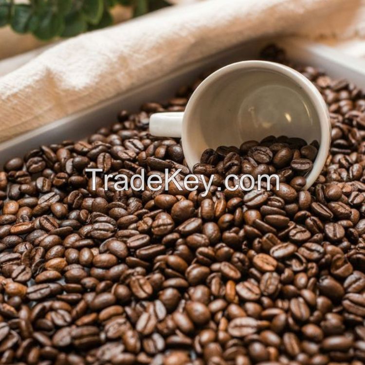 Fast Delivery Green Coffee Beans Robusta Good for Health Morning Coffee Eco-Friendly Standard Package Vietnamese Factory