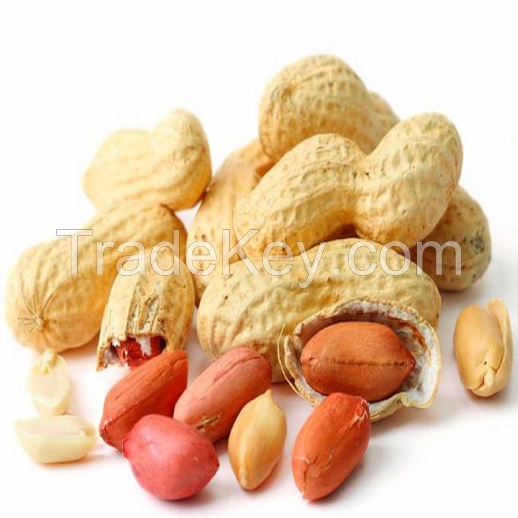 Wholesale Natural Organic Premium Grade Roasted Blanched Peanuts Bulk Peanut Blanched Split Laser Sorting Peanuts Nuts & Kernels