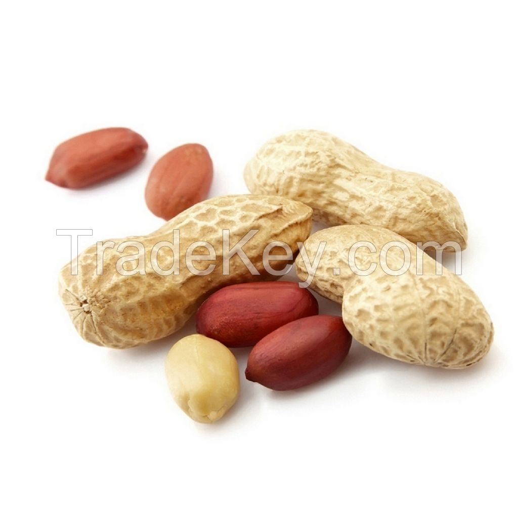 Organic Peanuts Premium Grade Kernels Fresh And Roasted Snack Blanched Peanuts Dried And Roasted Style