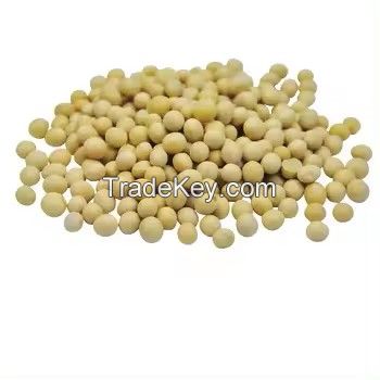 Organic GMO Yellow Soybean Dried in Bulk for Convenient Use