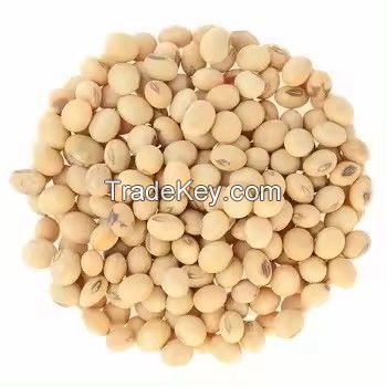 Organic GMO Yellow Soybean Dried in Bulk for Convenient Use