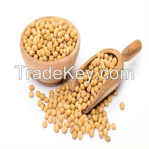 Organic GMO Yellow Soybean Dried in Bulk for Convenient Use