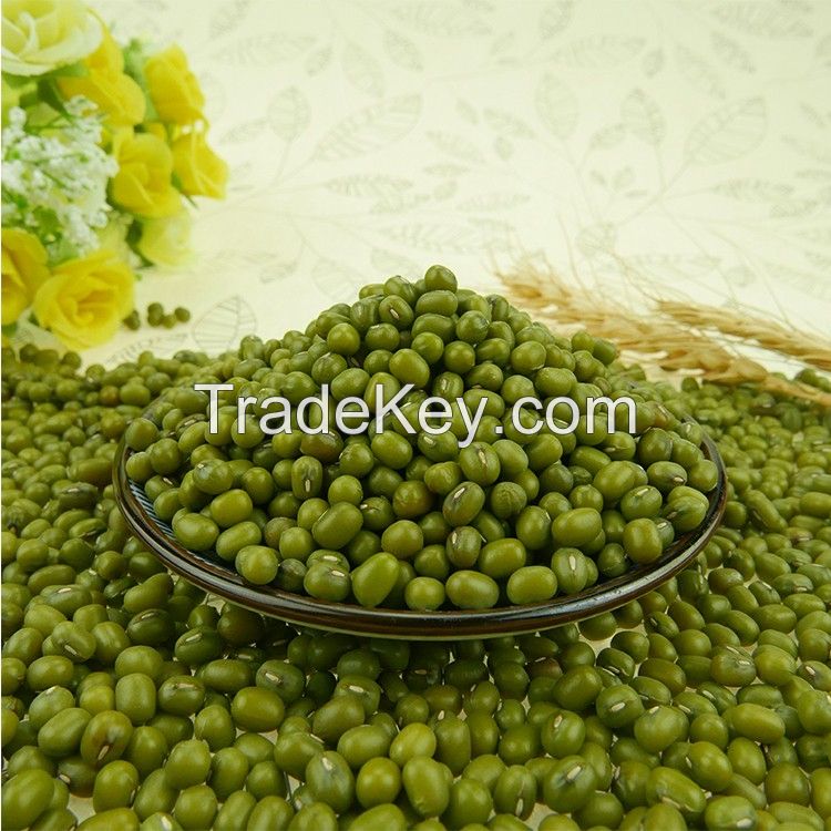 New Crop Mung Bean Seed Nice Price Green Mung Bean Vigna Beans