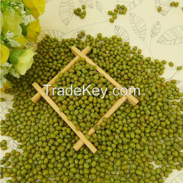 New Crop Mung Bean Seed Nice Price Green Mung Bean Vigna Beans