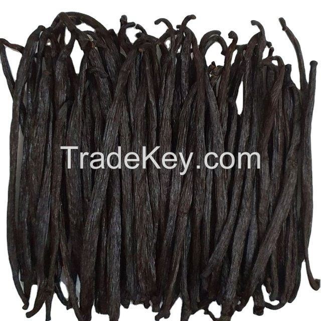 Buy Wholesale Vanilla Planifolia Dry and Oily Vanilla Beans Available in Bulk Quantity From India at Best Price
