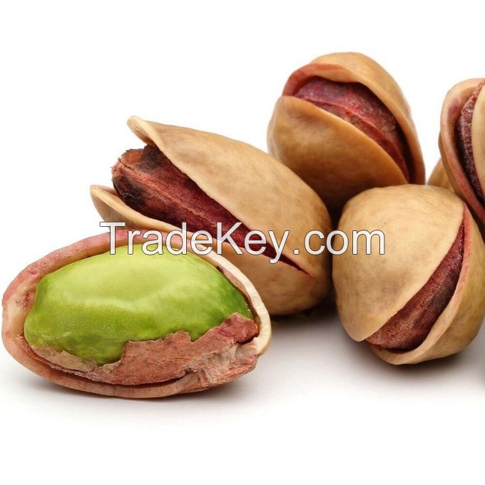Suppliers Bulk Raw Pistachio Nuts Pistachios 100kg Pistachio Without Salt Cheap Price