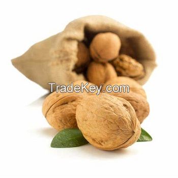 Premium Quality Whole Walnuts: Fresh - Nutrient-Rich Nuts Ideal for Snacking, Baking, and Culinary Delights Organic Conventional
