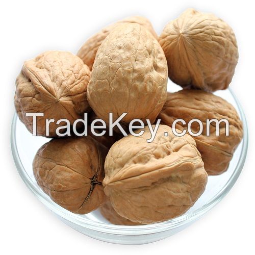 High Grade Natural Dried Raw Walnuts With Shell 185g Fresh Walnut Kernel From Xinjiang China for Snacks