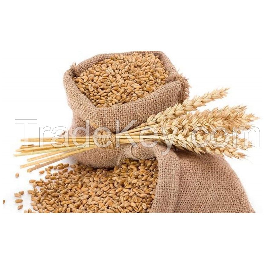 Discount Sale Quality Wheat Bran for Animal Feed / Wheat Bran Pellets