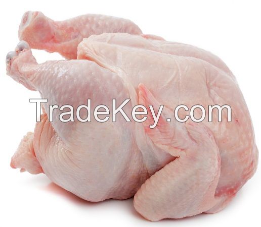 Best Quality Healthy and Natural Whole Chicken Halal Frozen Whole Chicken From Turkey Poultry Meat Chicken