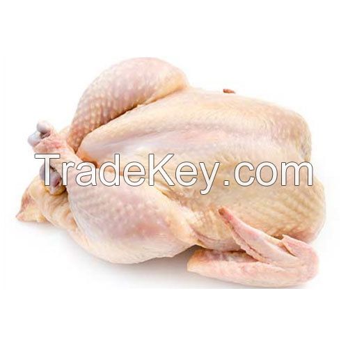 Best Quality Healthy and Natural Whole Chicken Halal Frozen Whole Chicken From Turkey Poultry Meat Chicken