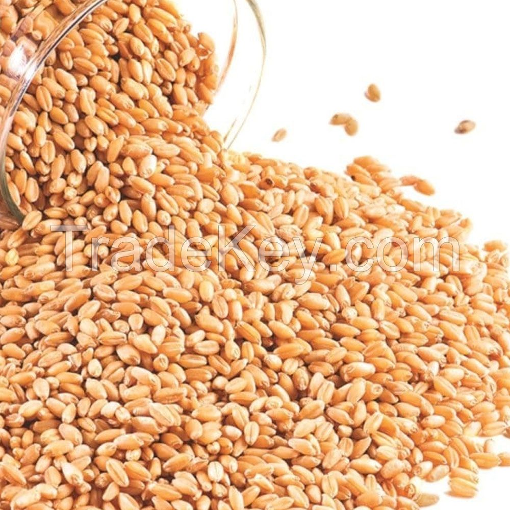 Best Quality Durum Wheat Semolina Flour Quality Rice Flour Bulk Packed