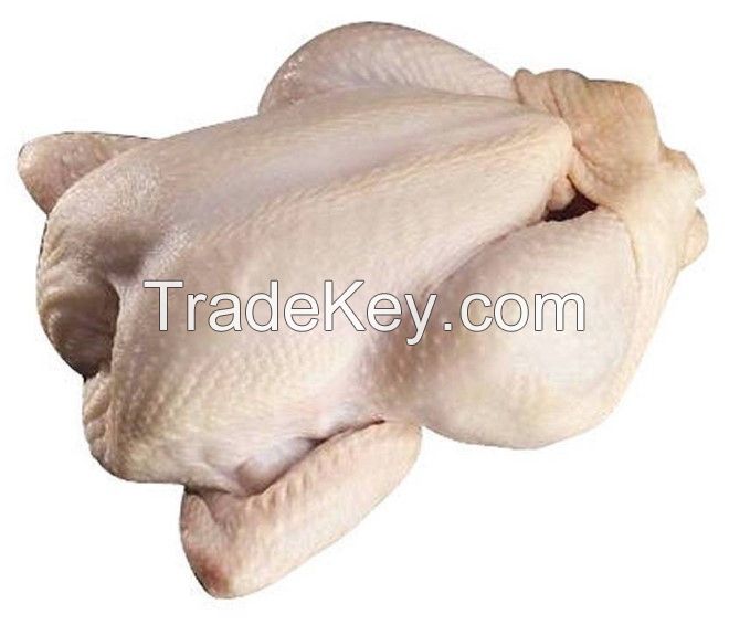Halal Frozen Whole Chicken Quality Wholesale Halal Frozen Whole Chicken Frozen Premium Quality Frozen Whole Chicken