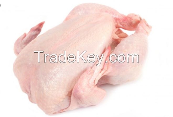 Halal Frozen Whole Chicken Quality Wholesale Halal Frozen Whole Chicken Frozen Premium Quality Frozen Whole Chicken
