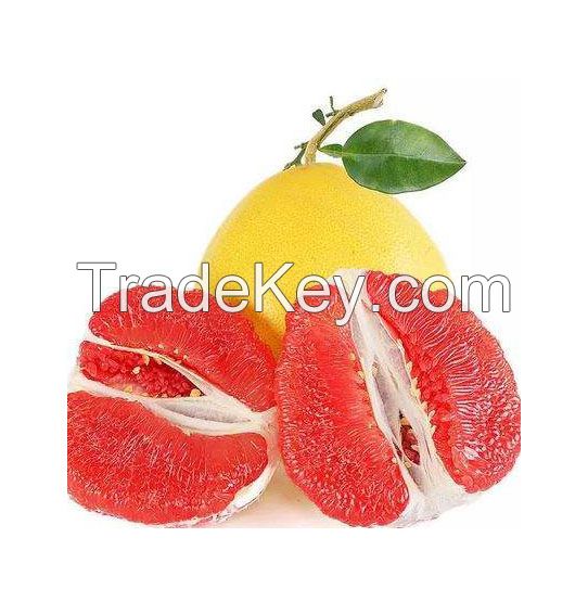 Fresh Style and Citrus Fruit Product Type Grapefruits/ Valencia Orange/ Navel Oranges/ Mandarin/