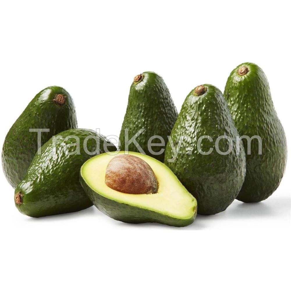 AVOCADO FRESH Aguacate Fresh Fruit Hass Avocados for Sale Rich Green Premium Tropical Peru Box Style Caliber Packing