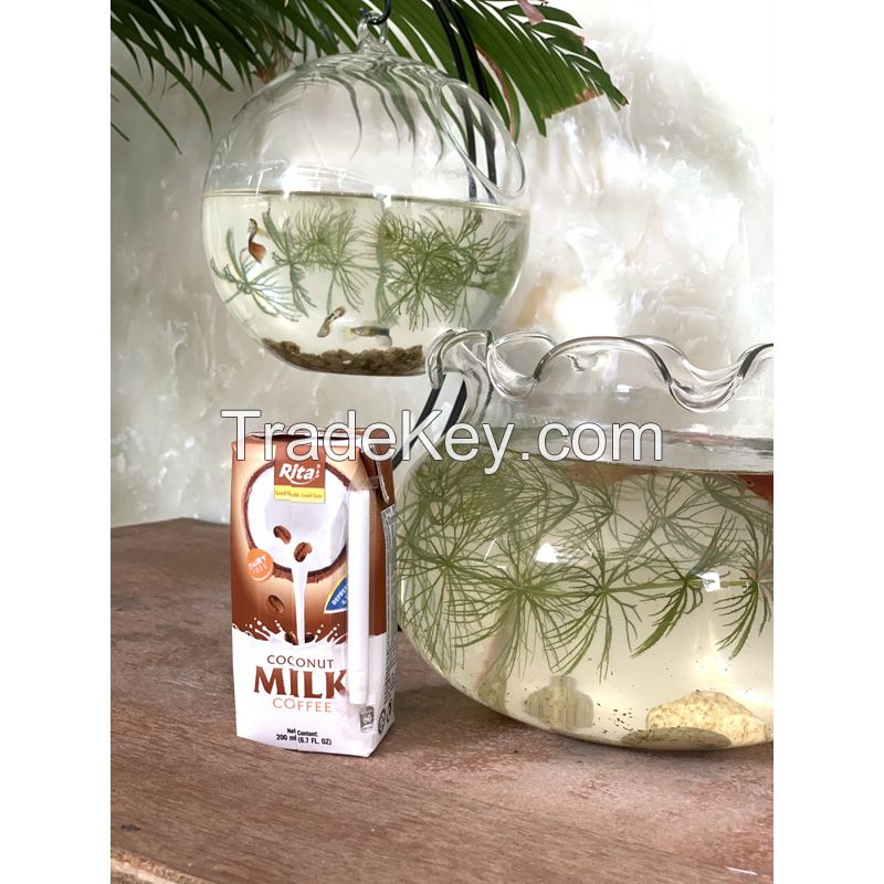 Good Quality Coconut Milk Powder With Best Offer