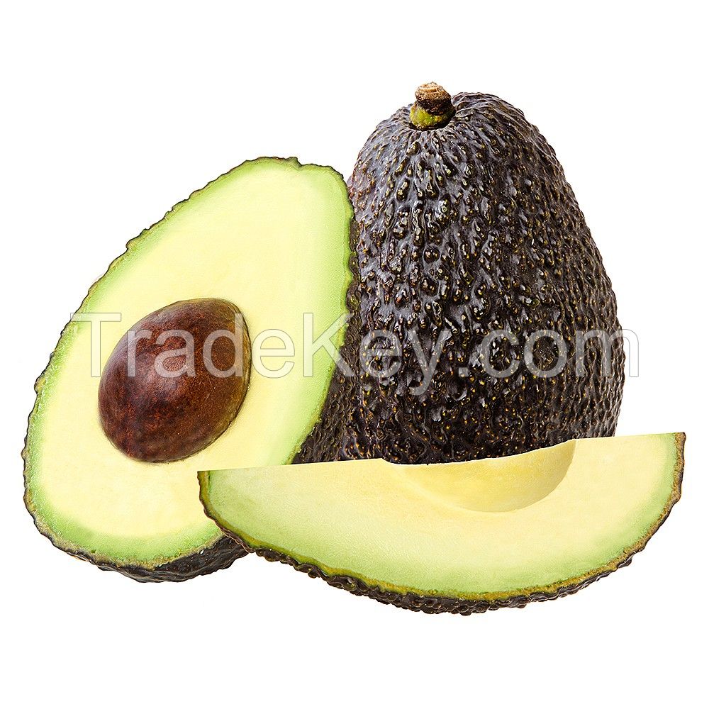 AVOCADO FRESH Aguacate Fresh Fruit Hass Avocados for Sale Rich Green Premium Tropical Peru Box Style Caliber Packing