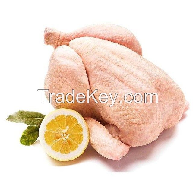 Halal Frozen Whole Chicken Quality Wholesale Halal Frozen Whole Chicken Frozen Premium Quality Frozen Whole Chicken