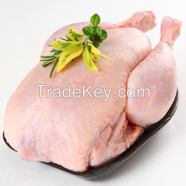 Halal Frozen Whole Chicken Quality Wholesale Halal Frozen Whole Chicken Frozen Premium Quality Frozen Whole Chicken